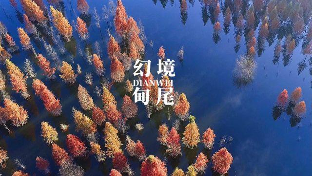 国元保险阜阳中支:惠民政策送下乡 农业技术送上门