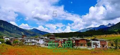 枣庄供电公司:无人机精细化巡检消除线路缺陷
